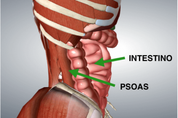 Mal di schiena: Quando la causa e’ in realtà l’intestino